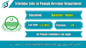 Government of Punjab Revenue Department Jobs