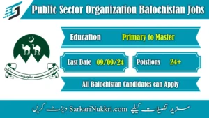 Public Sector Organization Balochistan Jobs