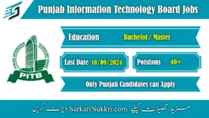 Punjab Information Technology Board Jobs