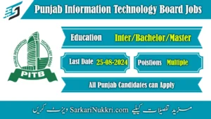 Punjab Information Technology Board PITB Jobs