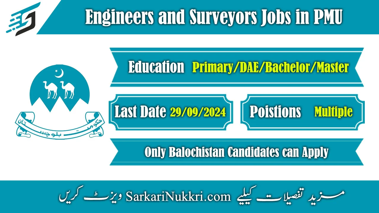 Engineers and Surveyors Jobs in PMU