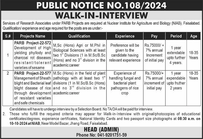 NAIB Faisalabad Jobs