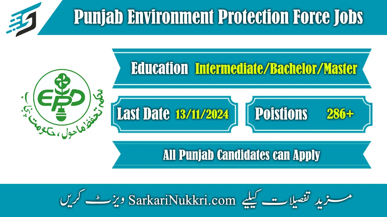 Punjab Environment Protection Force Jobs